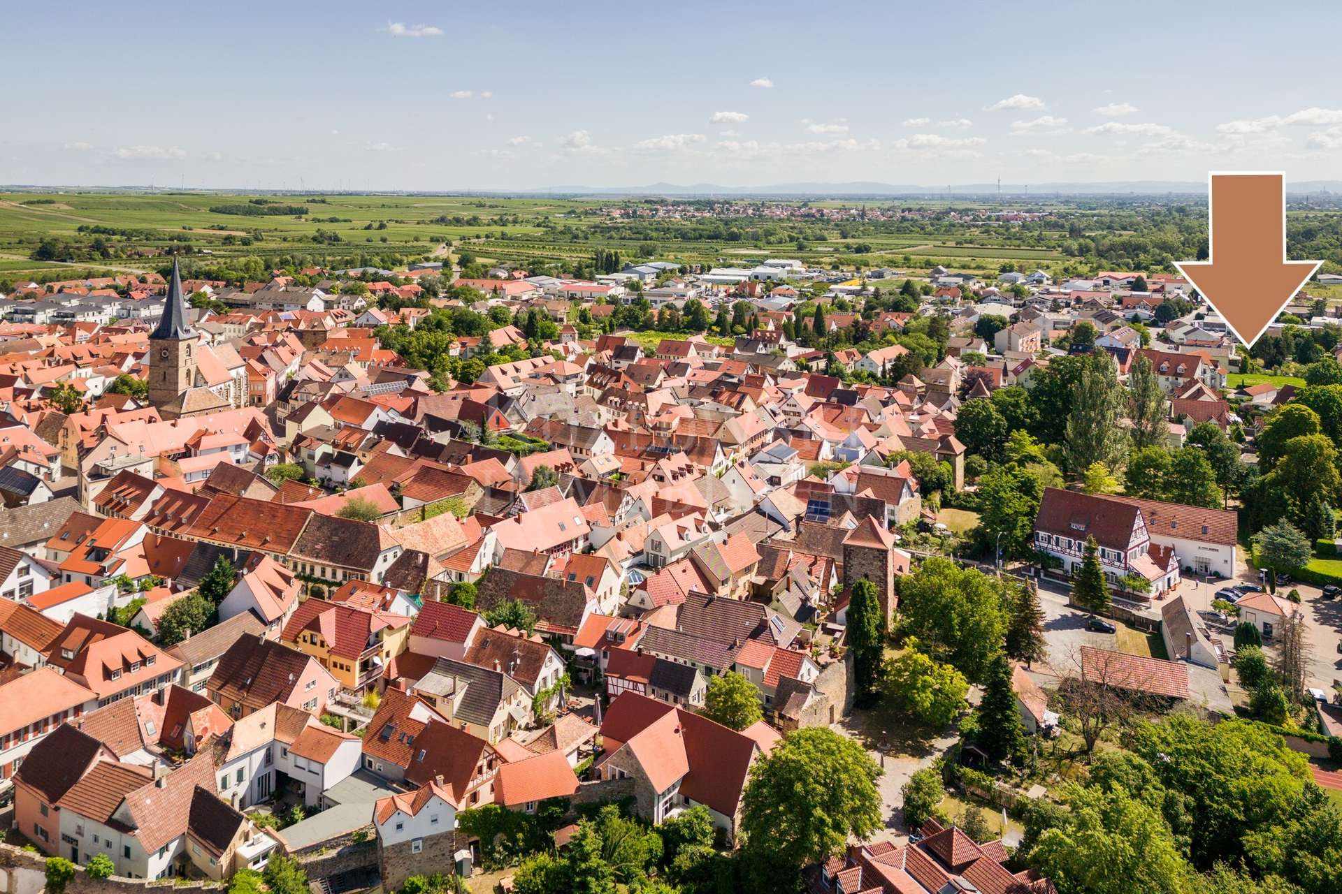 Freinsheim
