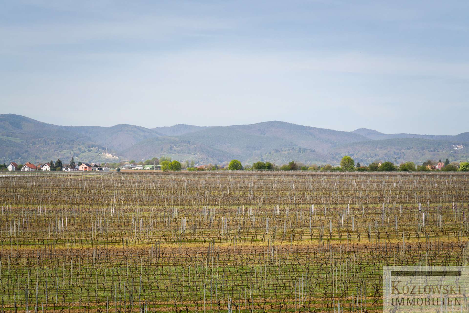 herrlicher Pfalzblick