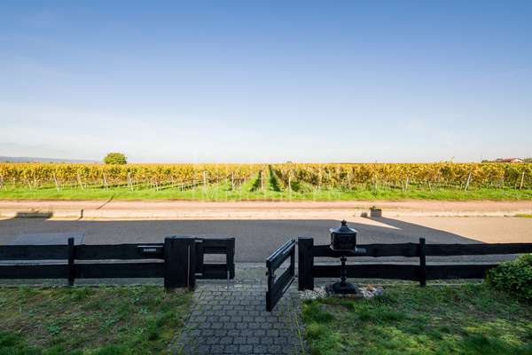 thumbnail von Klassiker am Weinberg – Machen Sie ein Schmuckstück daraus!