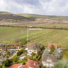 Top Weinberglage 