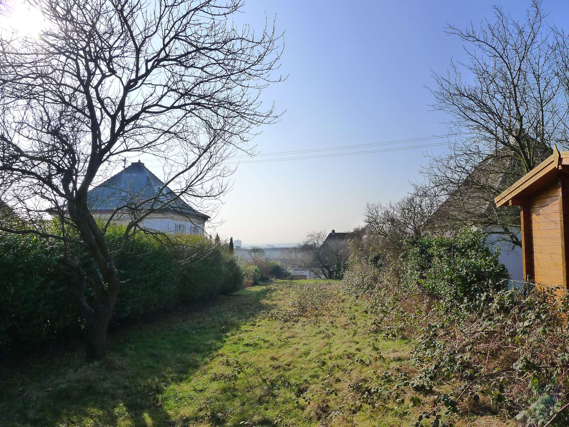 Blick in die Rheinebene