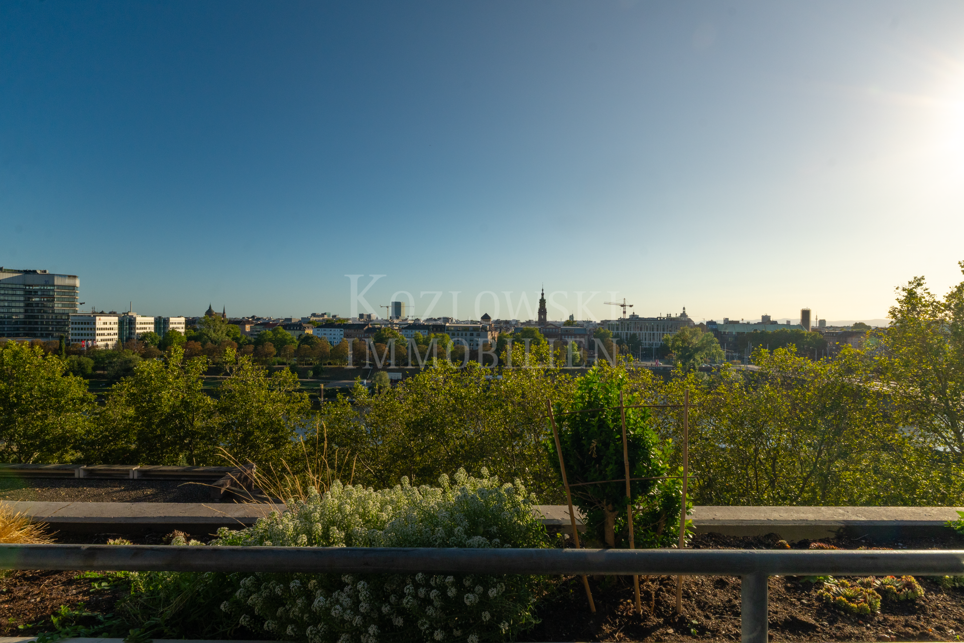 Panoramablick über die Skyline Mannheims