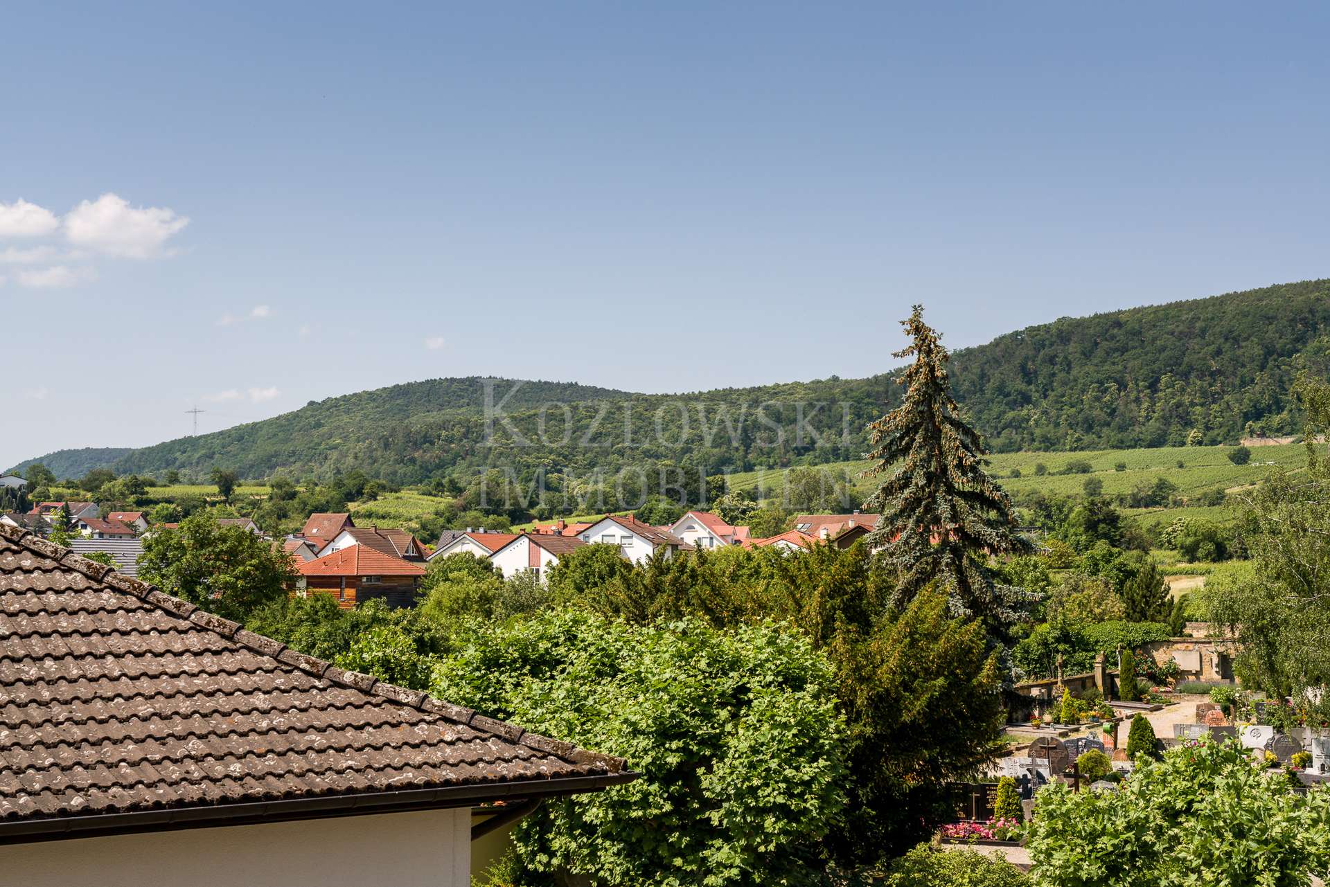 Ihr Ausblick
