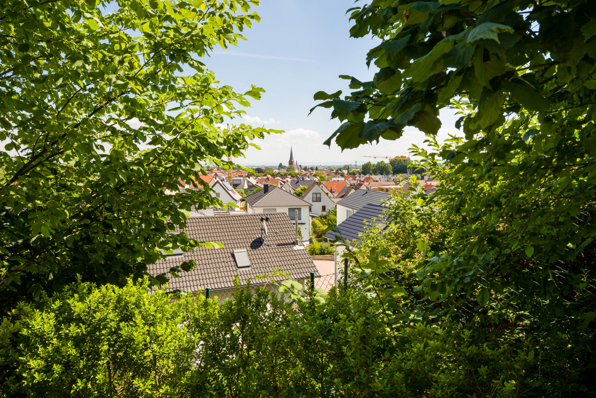 Blick auf St. Martin, eine malerische karibische Inselstadt mit roten Dächern, gesehen durch üppiges grünes Laub unter einem strahlend sonnigen Himmel.