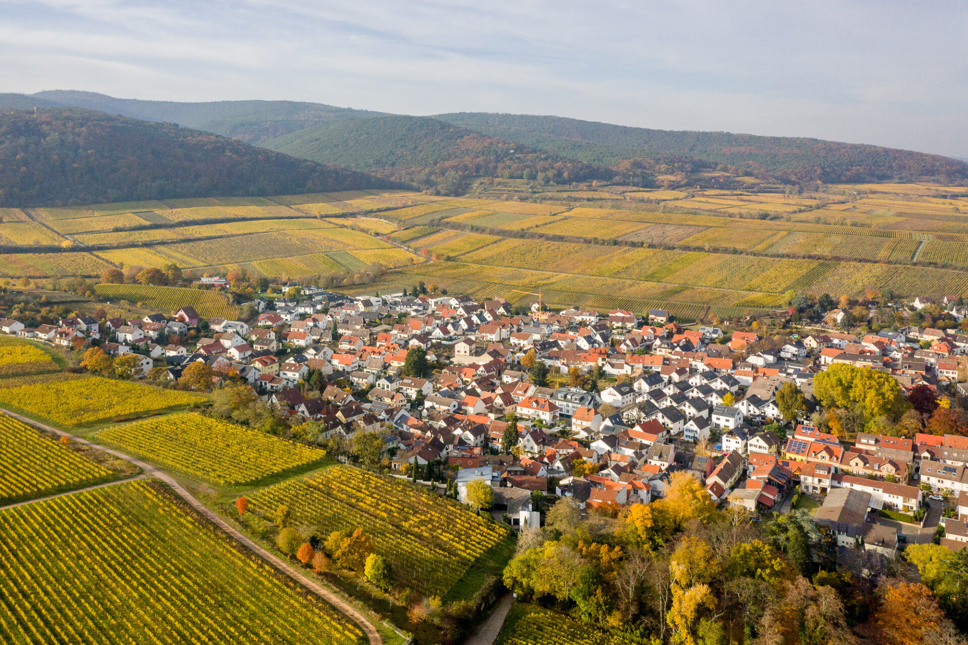 Luftaufnahme eines malerischen Dorfes in der Pfalz, umgeben von üppigen Weinbergen, eingebettet in ein Tal mit sanften Hügeln im Hintergrund.