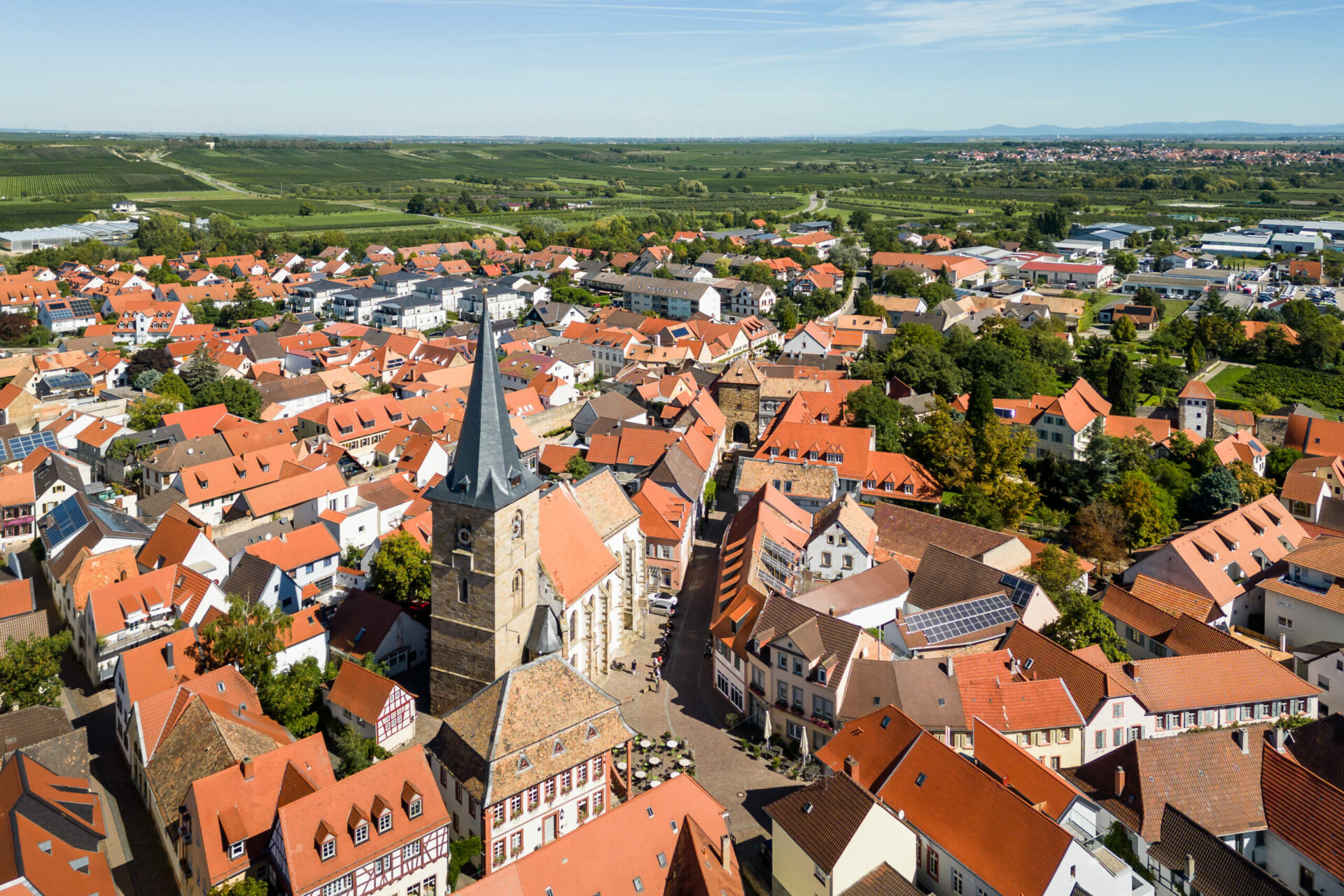 Luftaufnahme von Freinsheim mit dichten rotgedeckten Gebäuden, zentralem Kirchturm und umgebender grüner Landschaft.