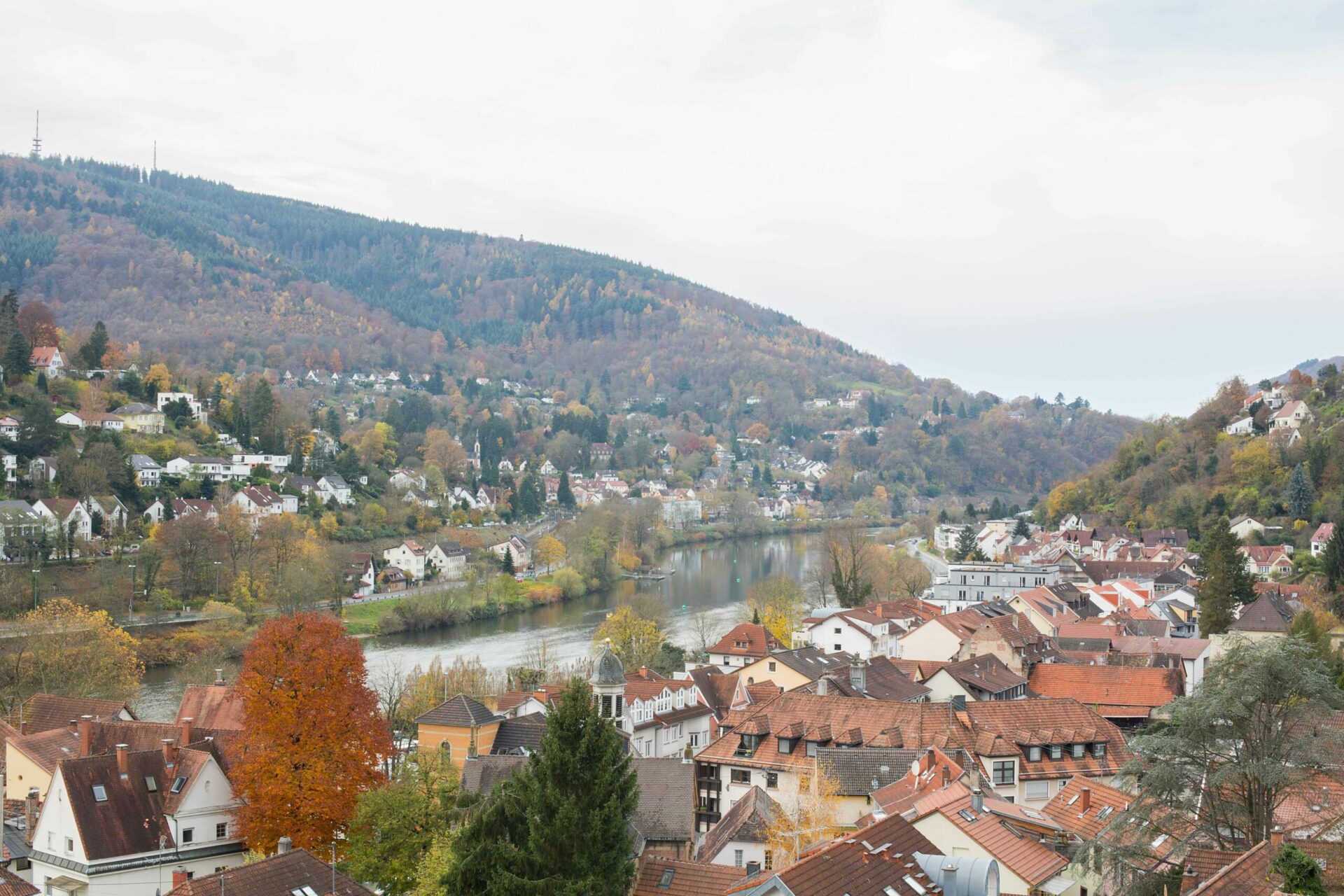 Panoramablick auf Schönau mit traditionellen roten Dächern, eingebettet zwischen einem Fluss und herbstlich gefärbten bewaldeten Hügeln.