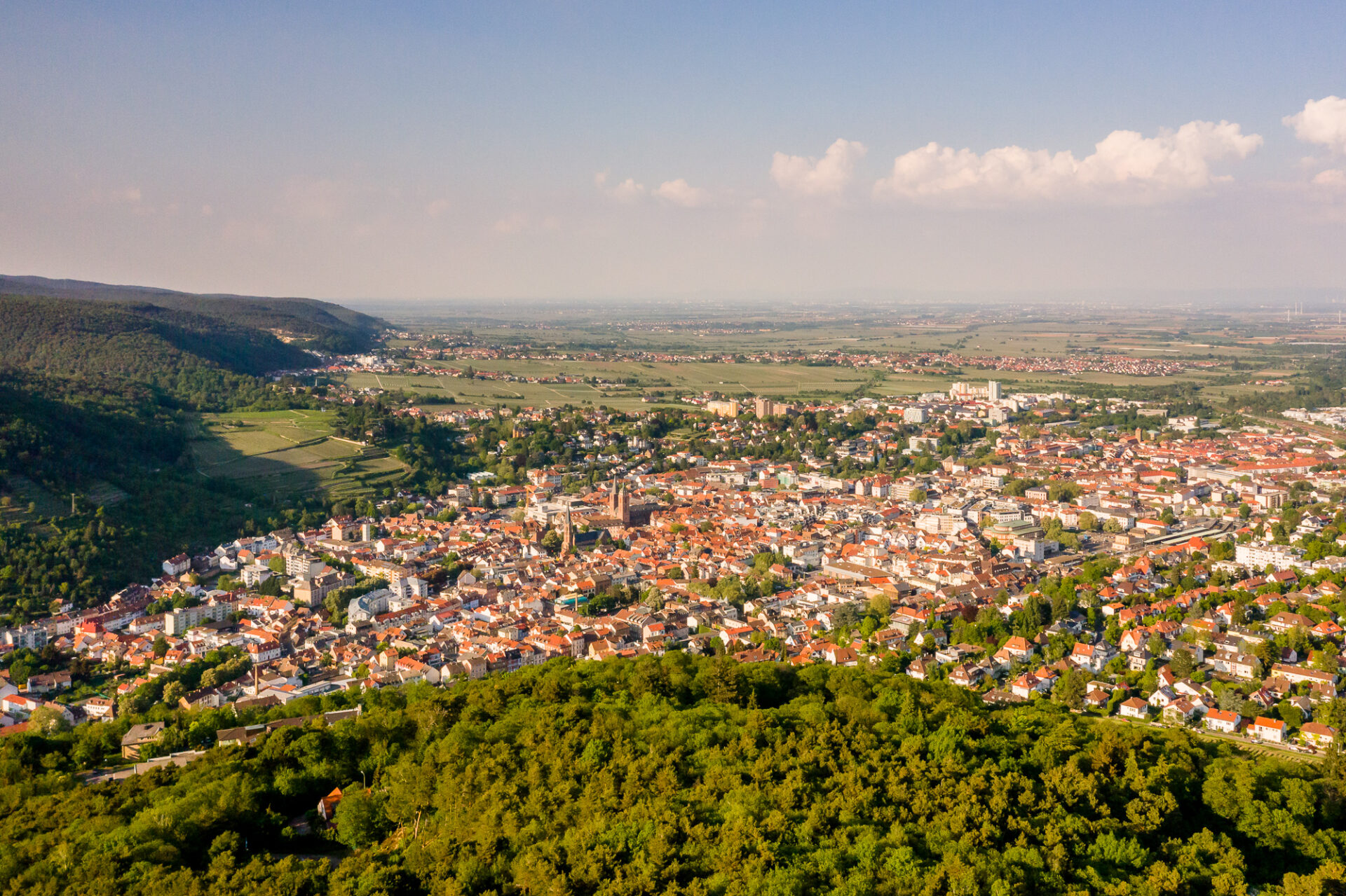 Luftaufnahme von Neustadt an der Weinstraße, einer weitläufigen Stadt mit dichter Bebauung, umgeben von üppigen grünen Wäldern, die in flaches Ackerland übergehen.