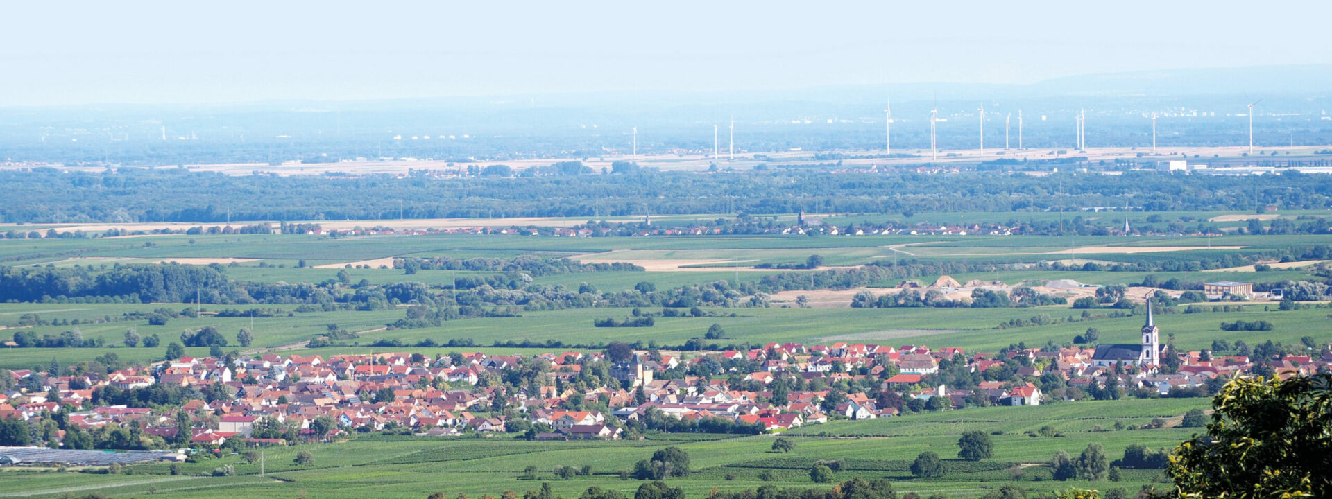 Panoramablick auf Edesheim, Deutschland, mit einer kleinen Stadt mit roten Dächern, umgeben von üppigen grünen Feldern und in der Ferne Windräder unter einem klaren Himmel.