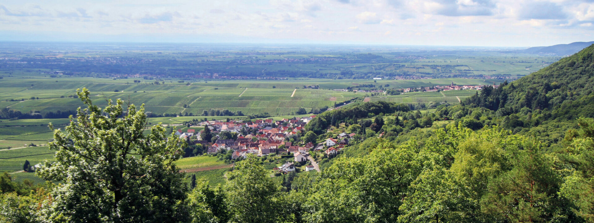 Panoramablick auf ein üppiges Tal in der Nähe von Gleisweiler mit einem kleinen Dorf, umgeben von Weinbergen und grünen Hügeln unter einem teilweise bewölkten Himmel.