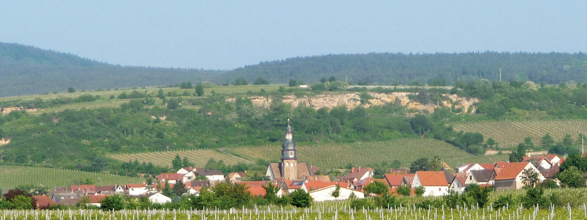 Panoramablick auf Kallstadt, ein ländliches Dorf mit einem zentralen Kirchturm, umgeben von üppig grünen Weinbergen und sanften Hügeln im Weinbaugebiet Kallstadt.