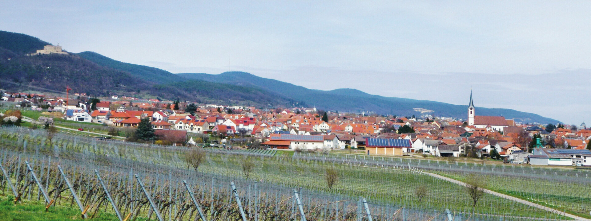 Panoramablick auf Maikammer mit seinen rot gedeckten Häusern und einem Kirchturm, eingebettet zwischen üppigen Hügeln und Weinbergen, mit einem Schloss auf einem entfernten Hügel.