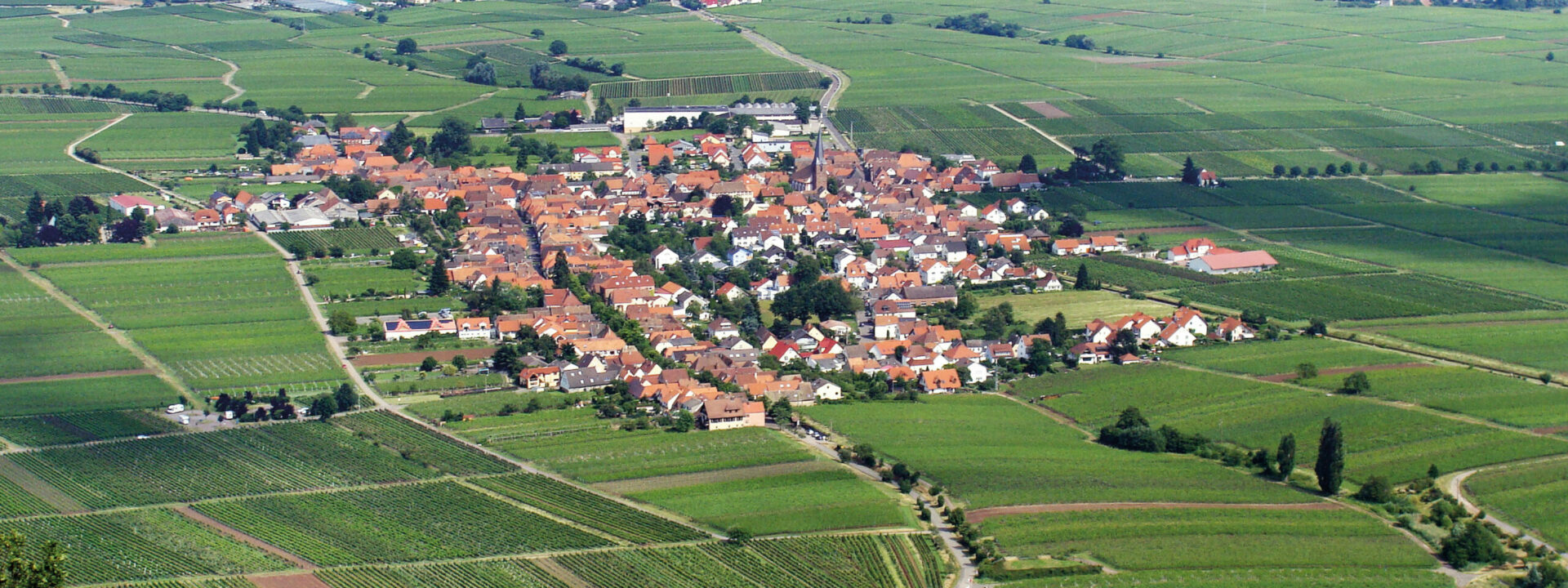 Luftaufnahme eines kleinen Dorfes umgeben von grünen Feldern und Weinbergen in der Pfalz.