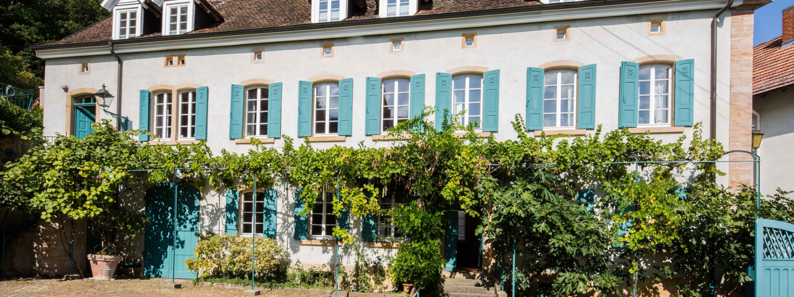 Ein malerisches altes Haus mit blassrosa Wänden, blaugrünen Fensterläden und einer grünen Rebe, die über die Fassade klettert, unter einem klaren blauen Himmel.