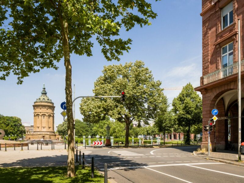 Eine sonnige Stadtstraßenszene mit einem klassischen Turm im Hintergrund, Ampeln und üppigen grünen Bäumen neben historischen roten Backsteingebäuden.